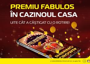 Cursul zilei la Casa. 20 lei = 500.000 de euro!!!