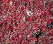 Atmosfera din meciul Danemarca - Anglia, Euro 2024 / foto: Imago Images