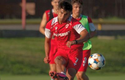 Replică promptă a lui Mihai Stoica, după ce Alexandru Musi a spus că la Dinamo se fac antrenamente mai grele