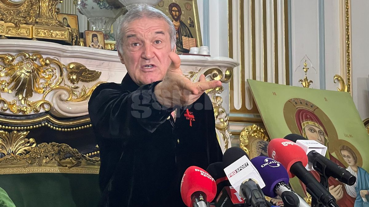 Gigi Becali a aruncat dosarul cu acte