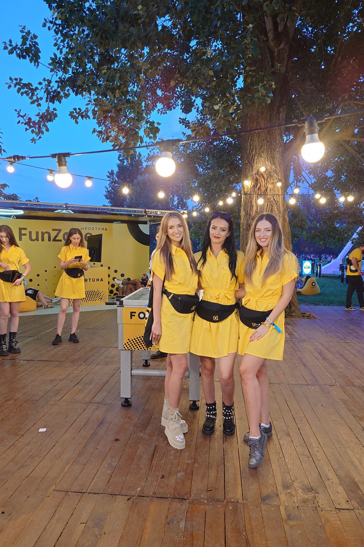 Norocul vine la castel