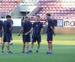 Imagini de pe gazon înainte de Rapid - CFR Cluj/ foto: Ionuț Iordache (GSP)