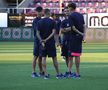 Imagini de pe gazon înainte de Rapid - CFR Cluj/ foto: Ionuț Iordache (GSP)