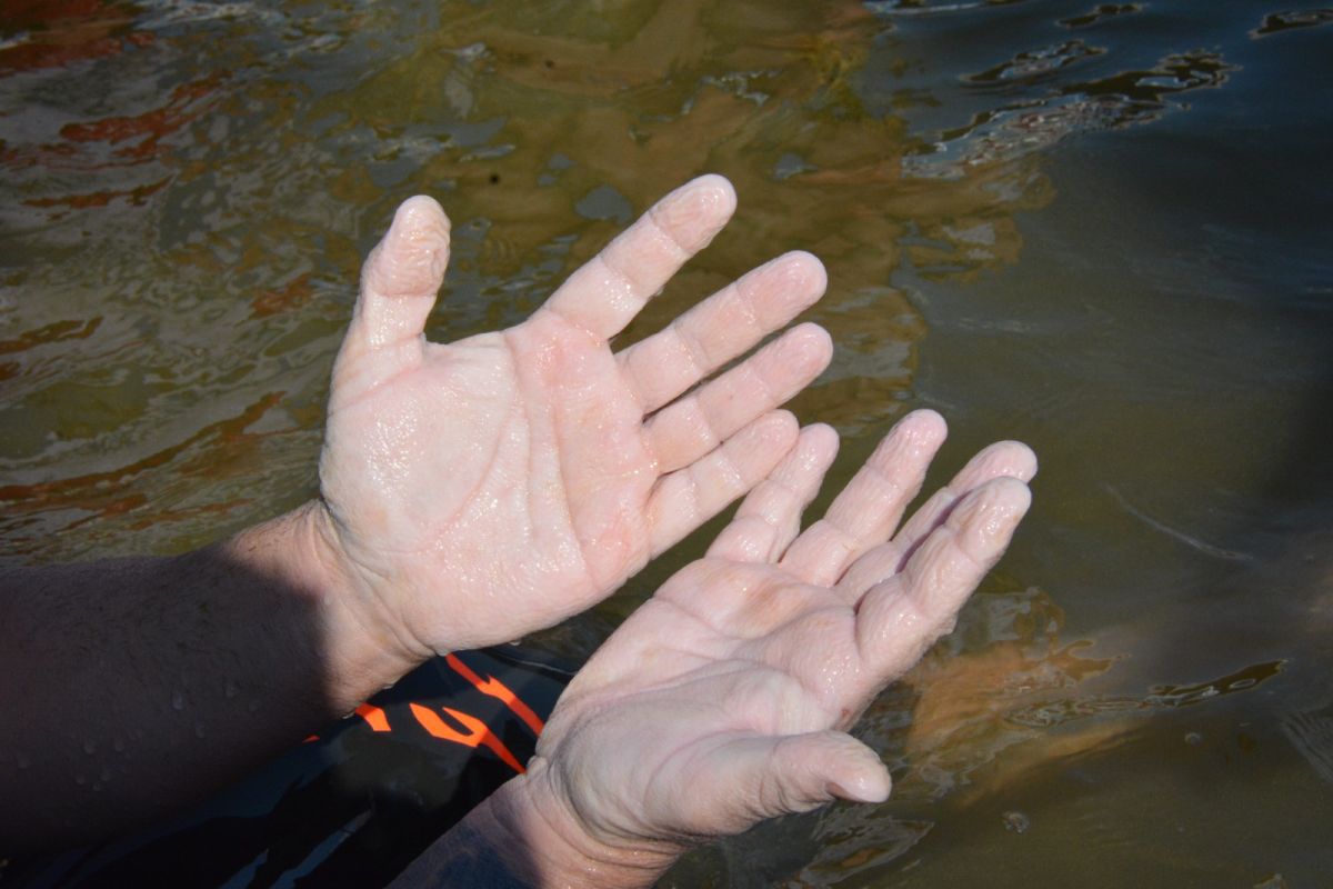 Jurnal de maraton » Poveștile uimitoare ale românului care a înotat 30 de ore fără oprire pe Dunăre: „Pe final am avut halucinații, vedeam tot felul de simboluri!”