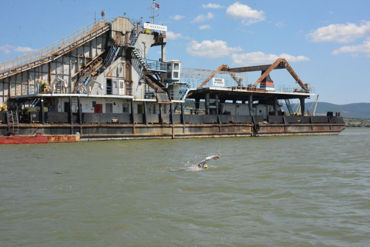 Mihai Badea a încheiat cu succes provocarea „Danube115” » A înotat pe Dunăre 32 de ore, fără oprire!