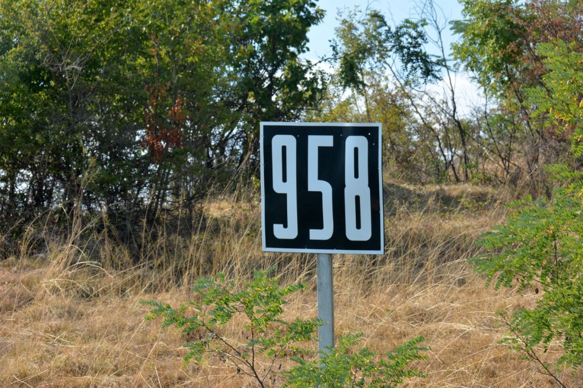 Jurnal de maraton » Poveștile uimitoare ale românului care a înotat 30 de ore fără oprire pe Dunăre: „Pe final am avut halucinații, vedeam tot felul de simboluri!”