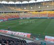 Gazon Arena Națională înainte de FCSB - Poli Iași