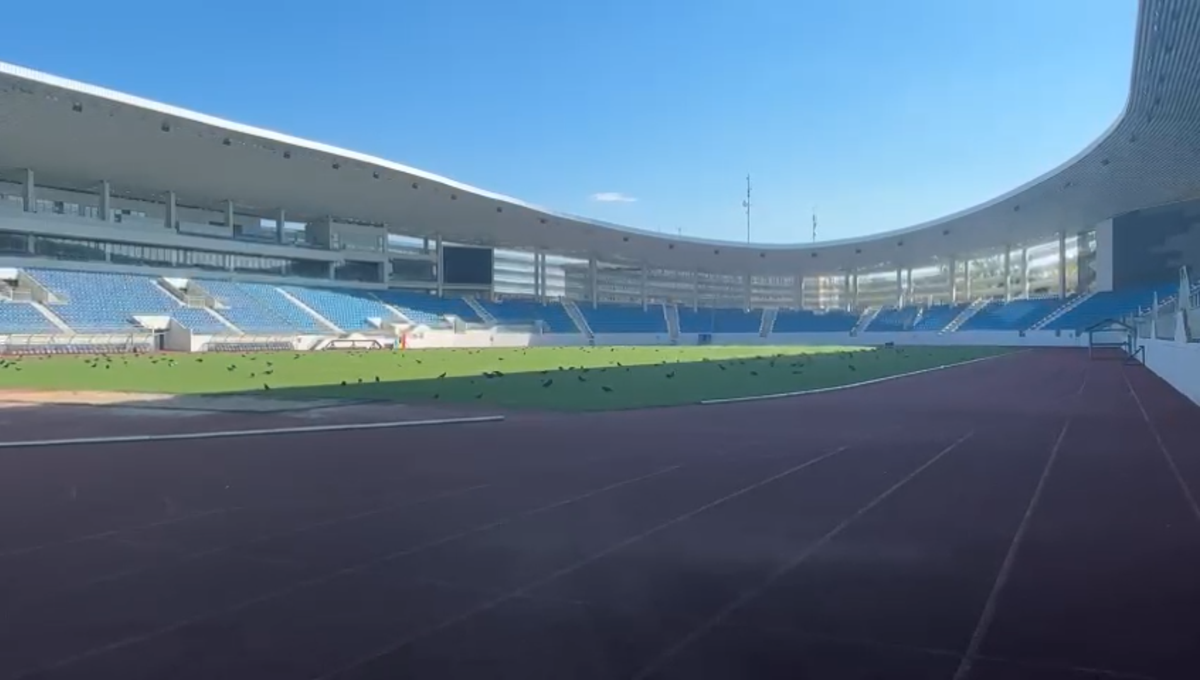 Imagini ireale pe stadionul de 28 de milioane de euro din România » Păsările distrug gazonul