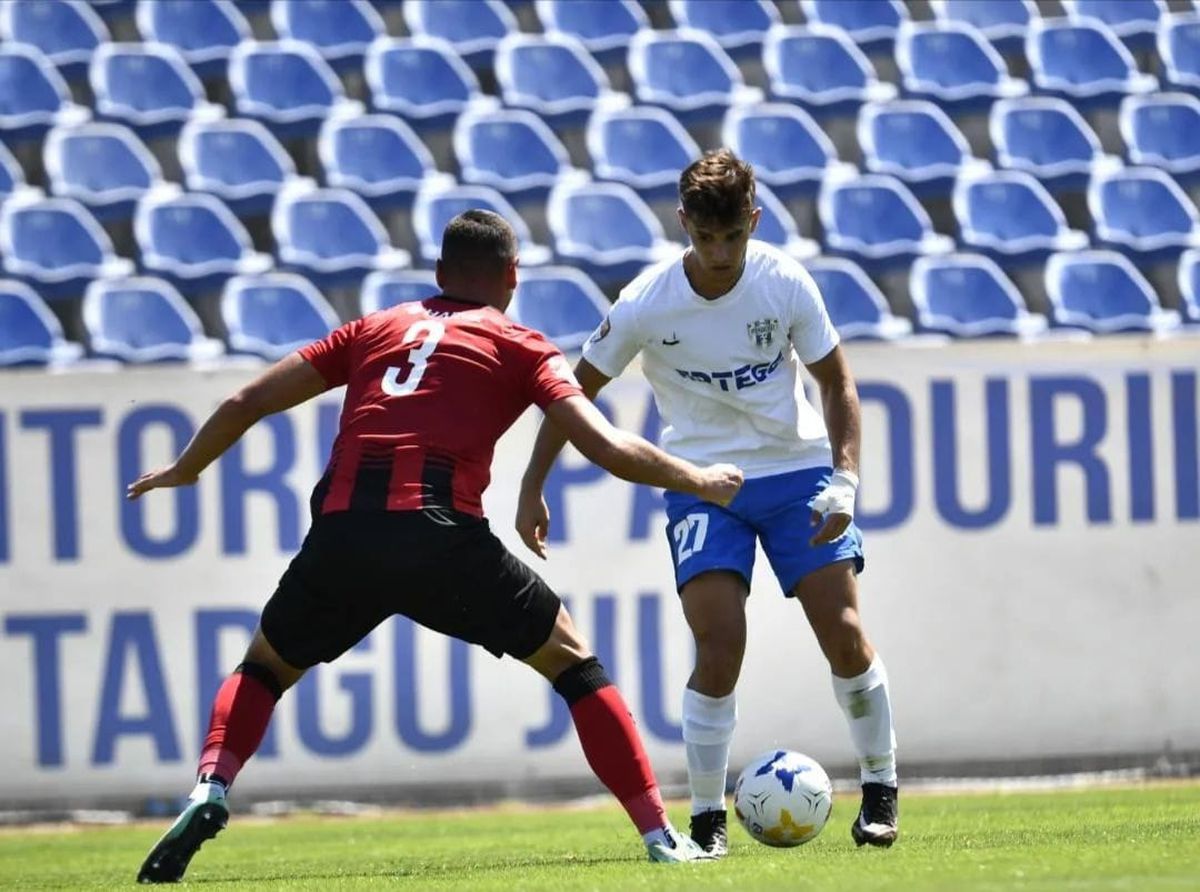 Sute de ciori distrug gazonul de pe Stadionul Municipal din Târgu Jiu