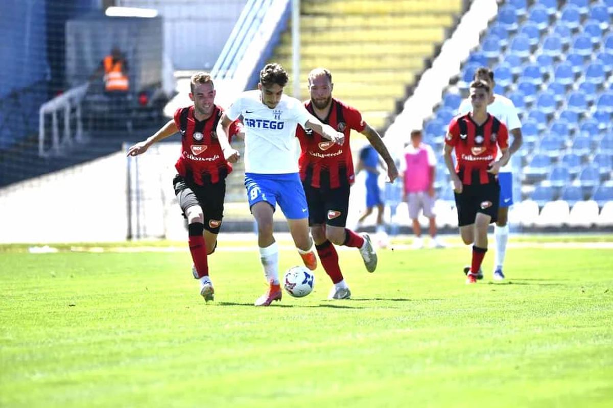 Sute de ciori distrug gazonul de pe Stadionul Municipal din Târgu Jiu