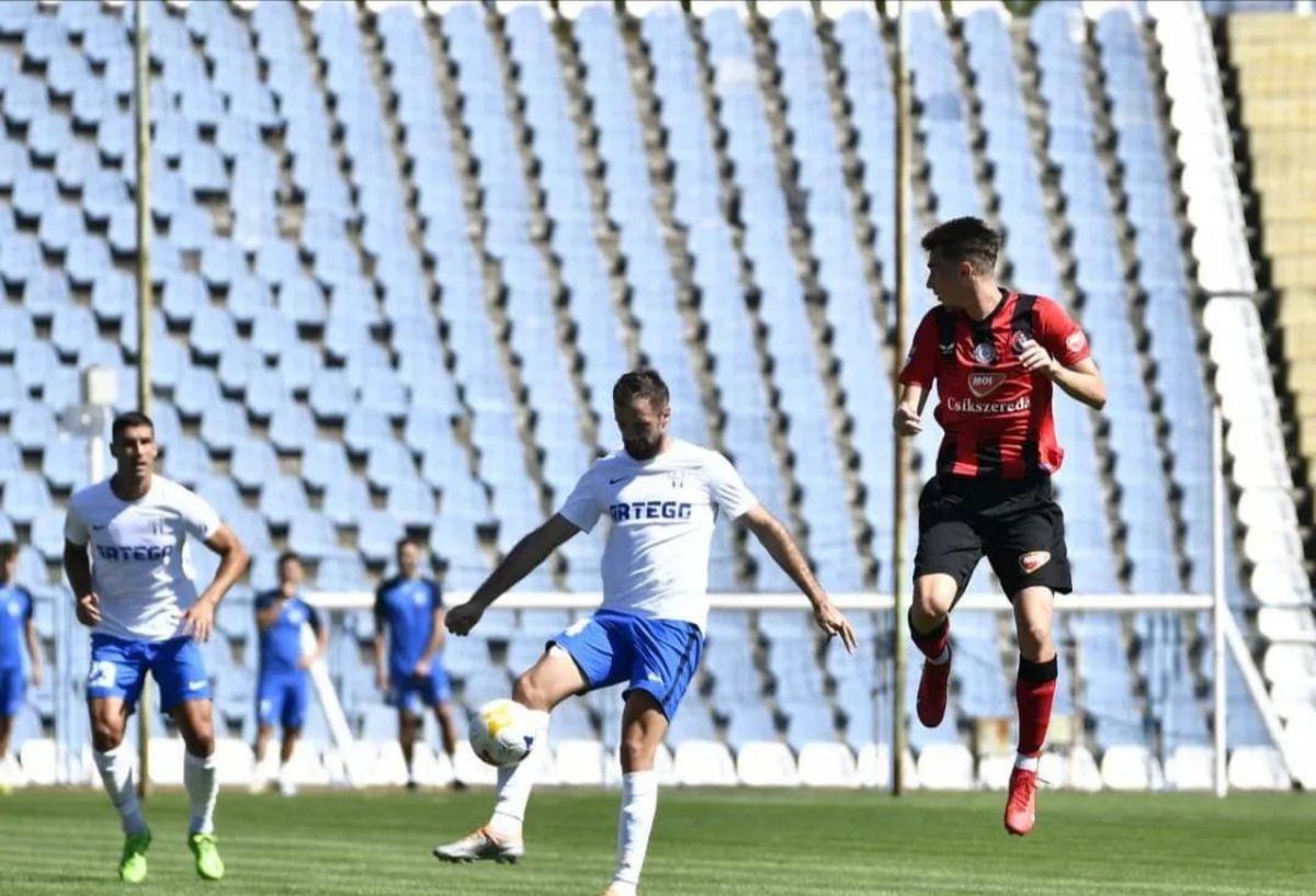 Sute de ciori distrug gazonul de pe Stadionul Municipal din Târgu Jiu