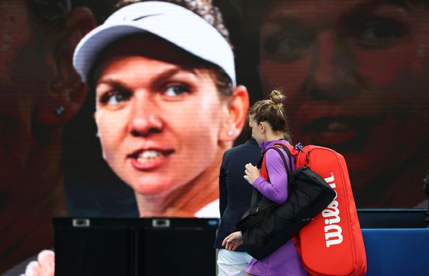 Specie nouă de insectă, denumită în onoarea Simonei Halep: „Ne-am bucurat să primim acordul ei”