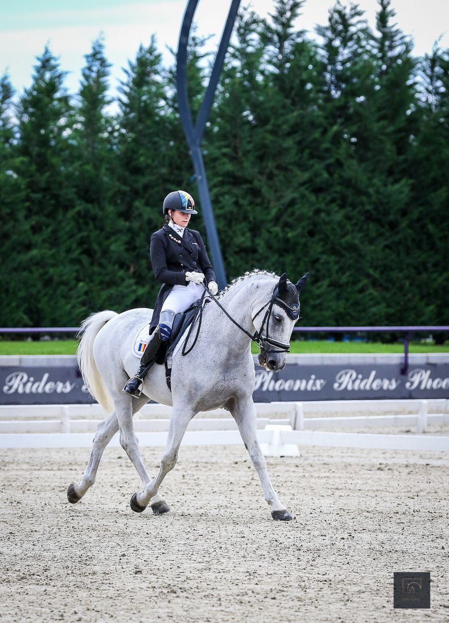 Campionatul balcanic de dresaj ecvestru în România