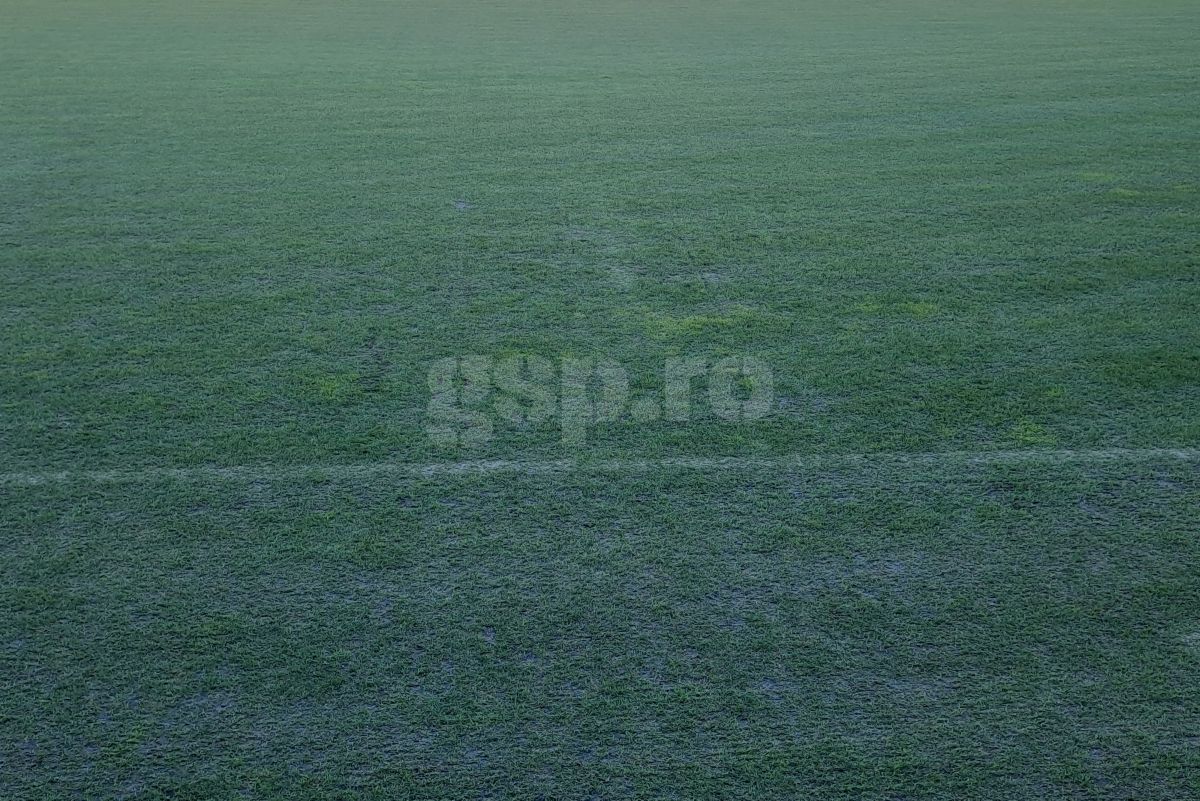 Gazon Arcul de Triumf Dinamo- Farul