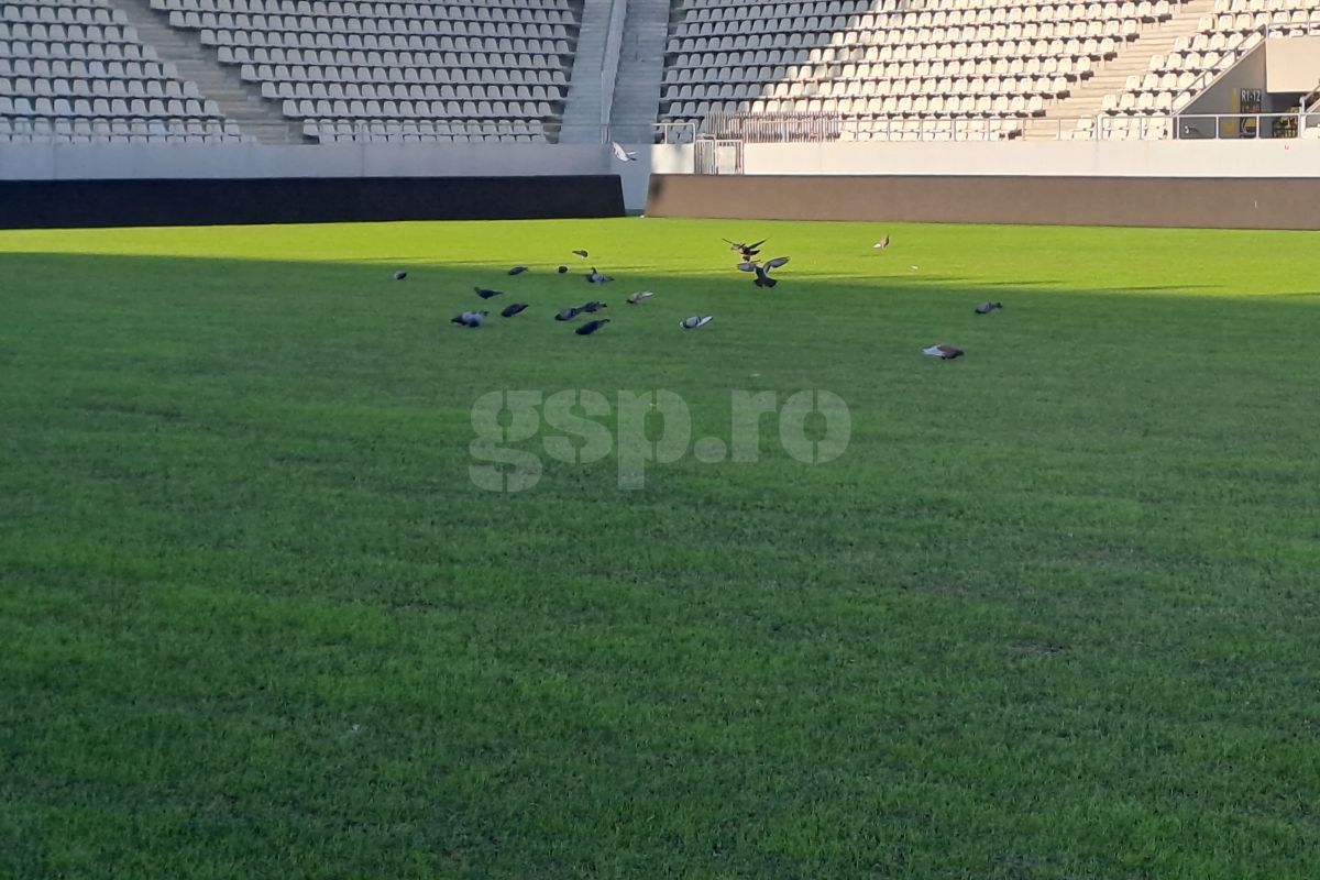 Gazon Arcul de Triumf Dinamo- Farul