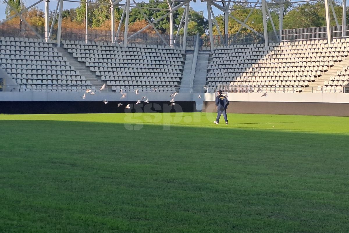 Gazon Arcul de Triumf Dinamo- Farul