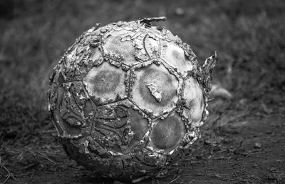 Primele repere ale fotbalului românesc: când s-a înființat primul club, cum a ajuns prima minge în România și de ce a fost interzis la început