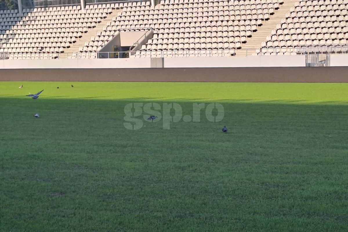 Acuzații grave: „Licitația de la Arcul de Triumf a fost ILEGALĂ, statul să intervină!” » Explicații pentru starea gazonului și ieșire val-vârtej din emisiune: „Eu sunt la alt nivel!”