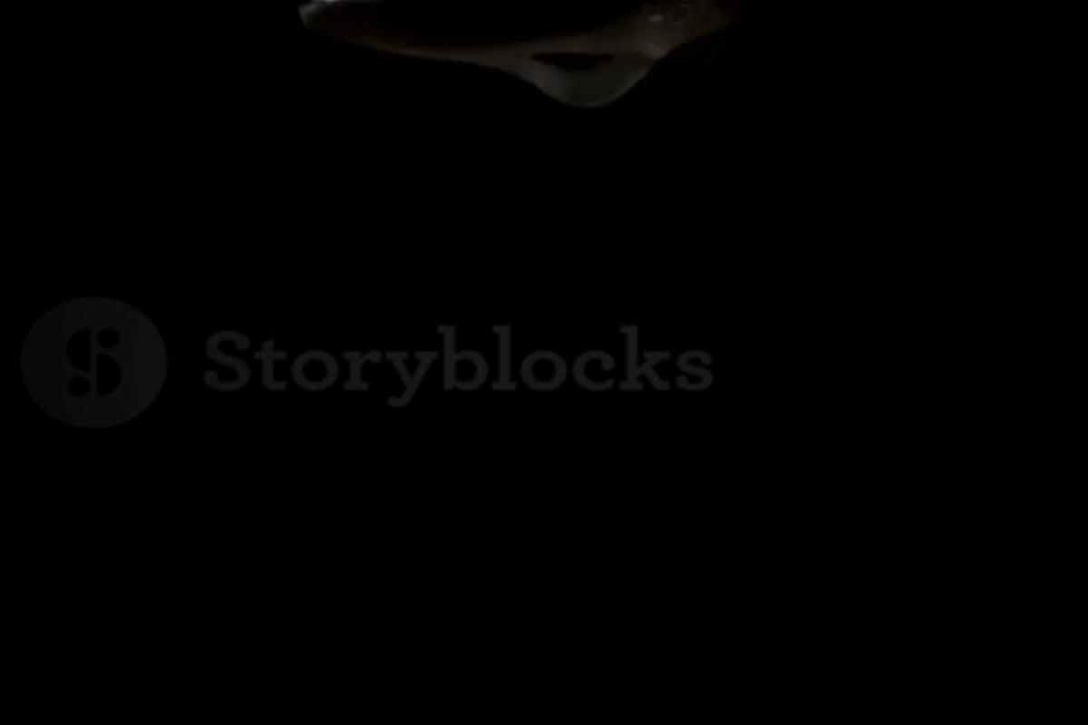 Colecții fabuloase pentru copii mici, mari și mai mari