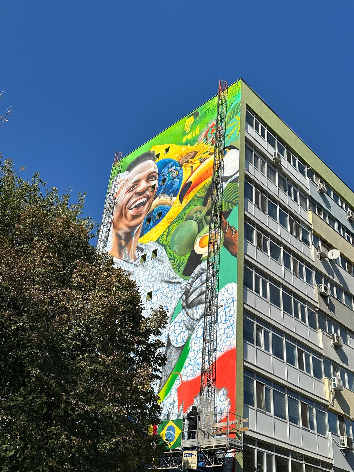 Chipiul lui Vinicius, dar și al lui Pele, mural de senzație în București