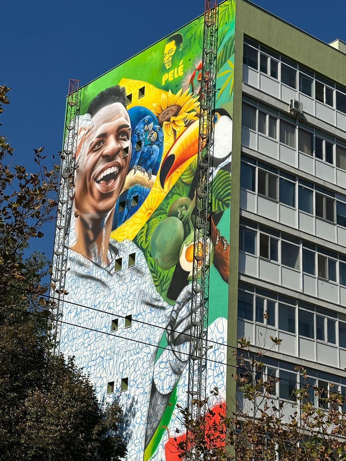 Chipiul lui Vinicius, dar și al lui Pele, mural de senzație în București