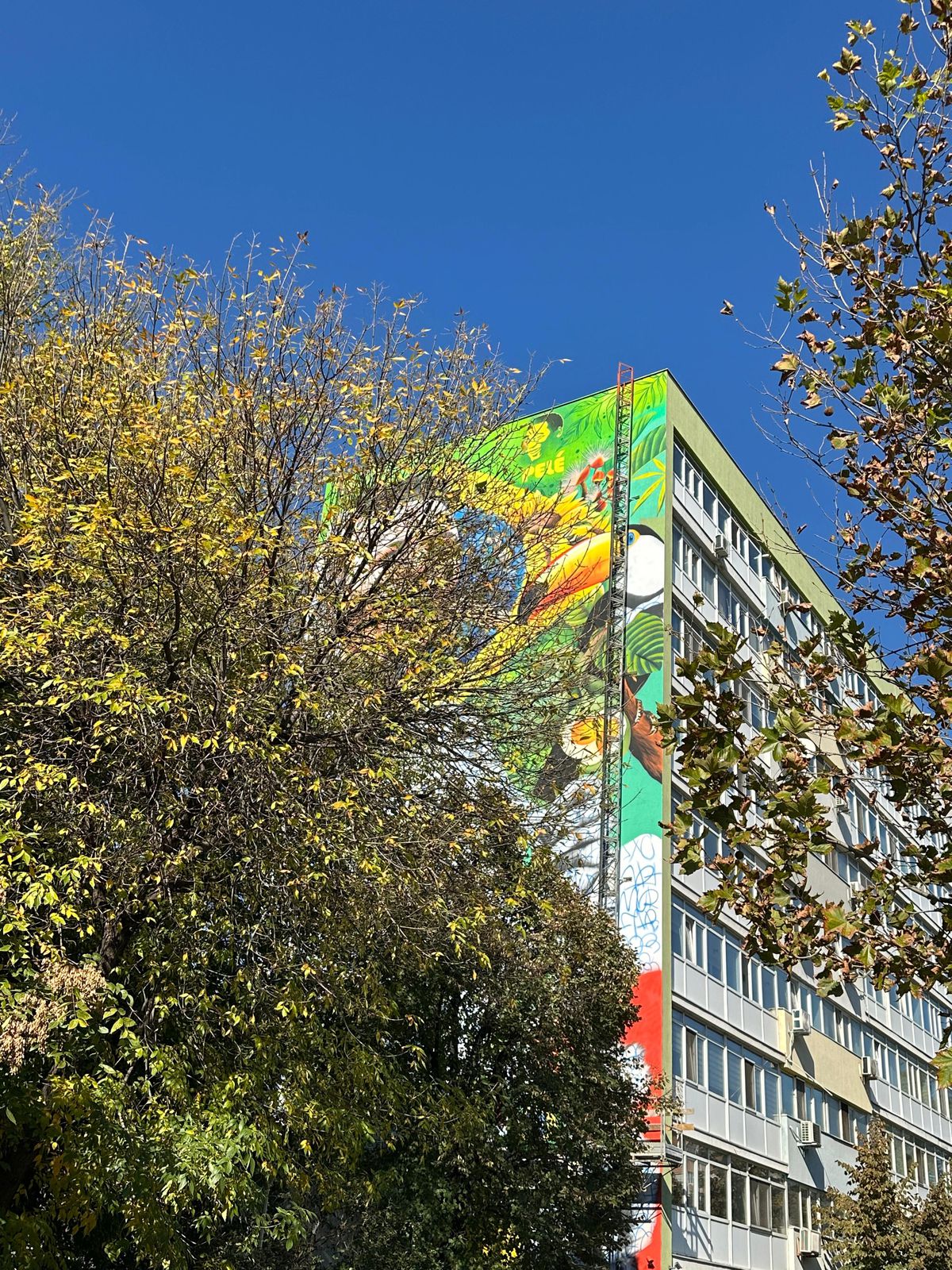 Chipiul lui Vinicius, dar și al lui Pele, mural de senzație în București