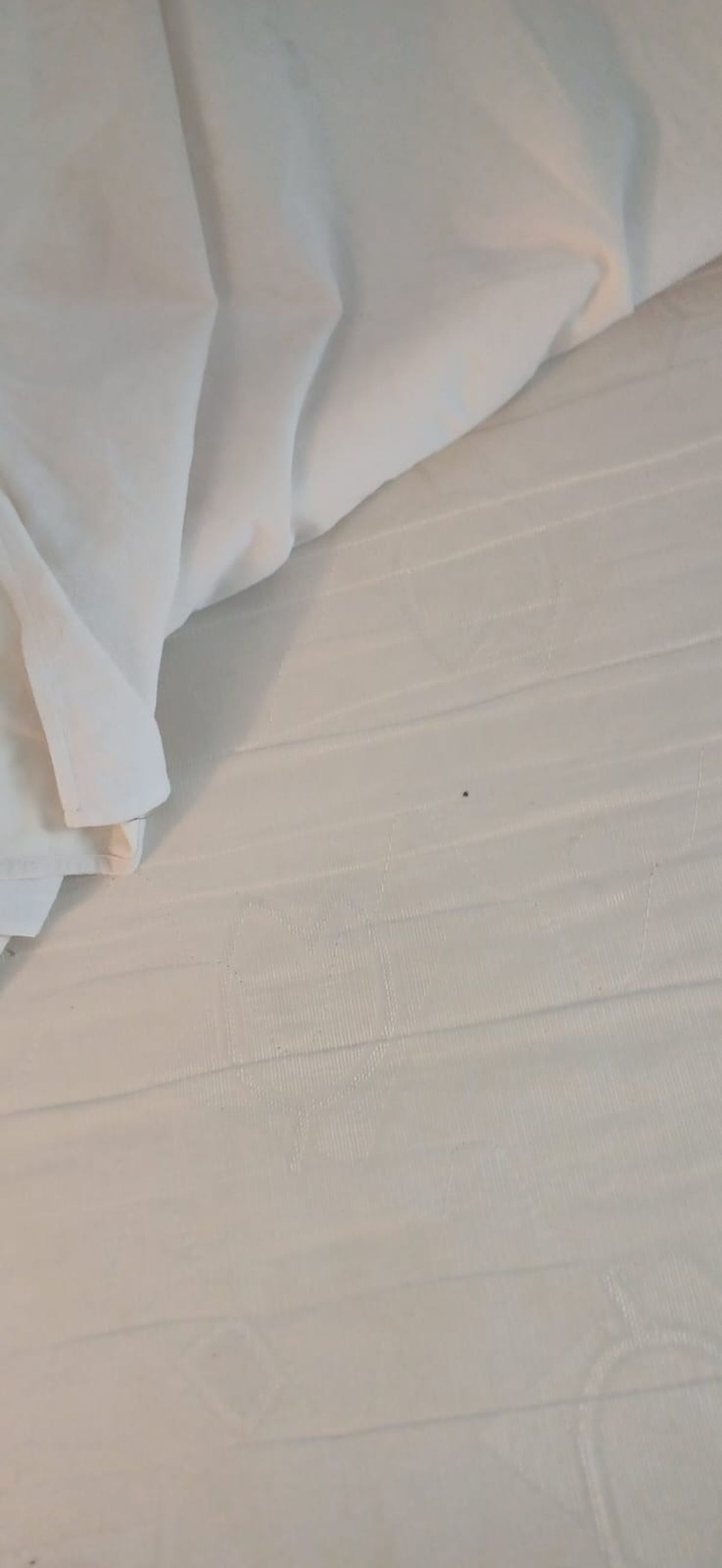 Hotel Sport din Constanța