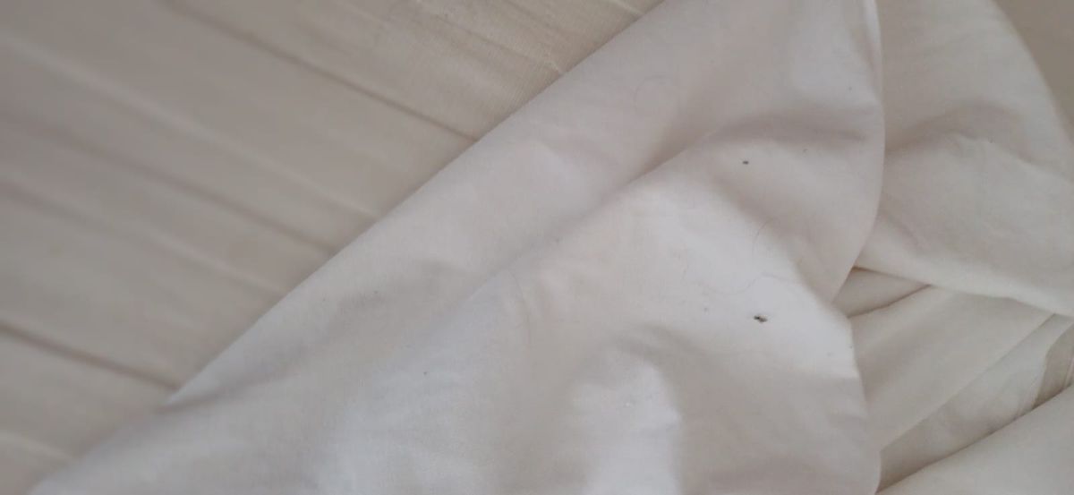 Hotel Sport din Constanța