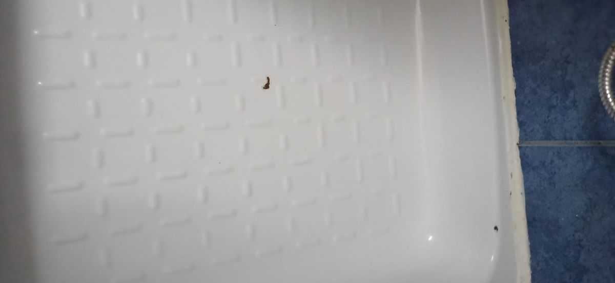 Hotel Sport din Constanța