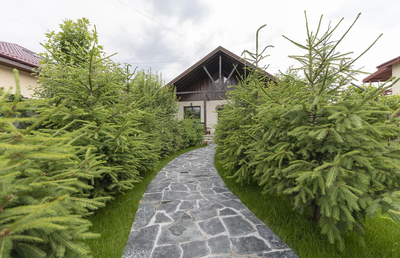 De ce piatra naturala poligonală este preferată pentru pavarea aleilor