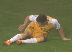 Fază controversată în Moldova - România » Rață a cerut penalty