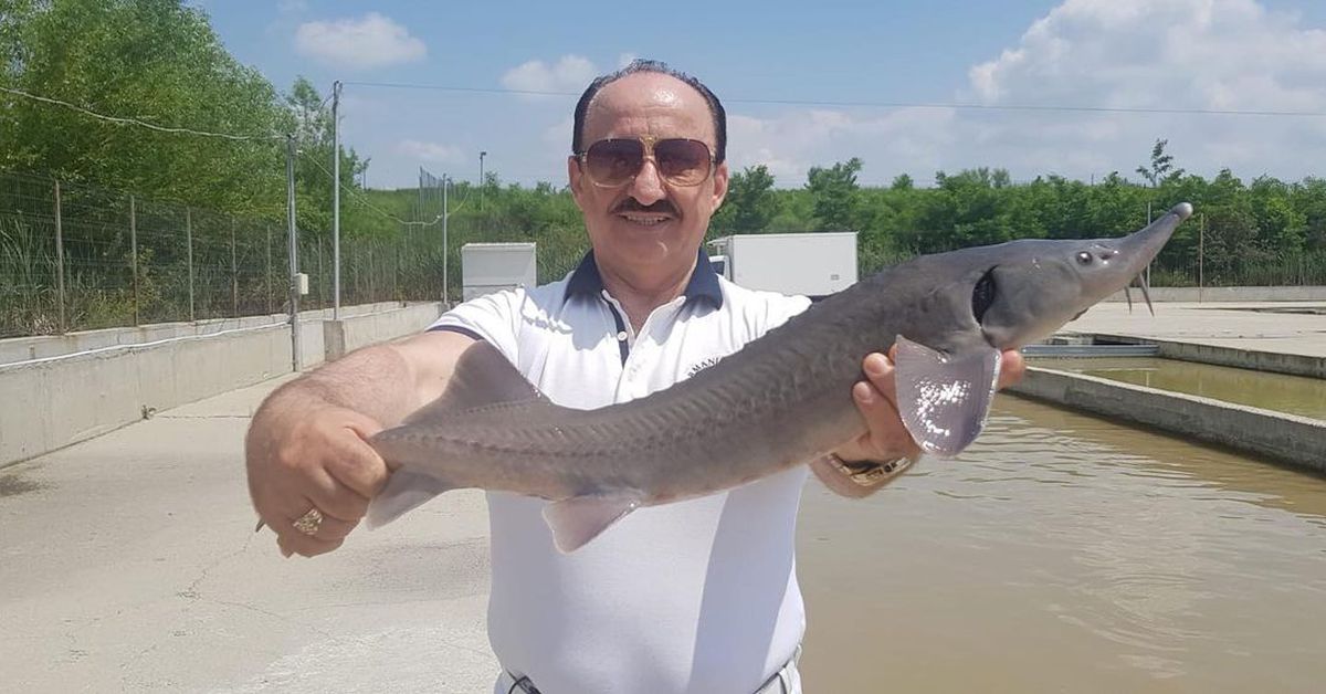 Îl recunoști? Fostul patron al Rapidului a sărbătorit în Giulești victoria cu Dinamo: „Vreau să îi mulțumesc domnului Șucu”