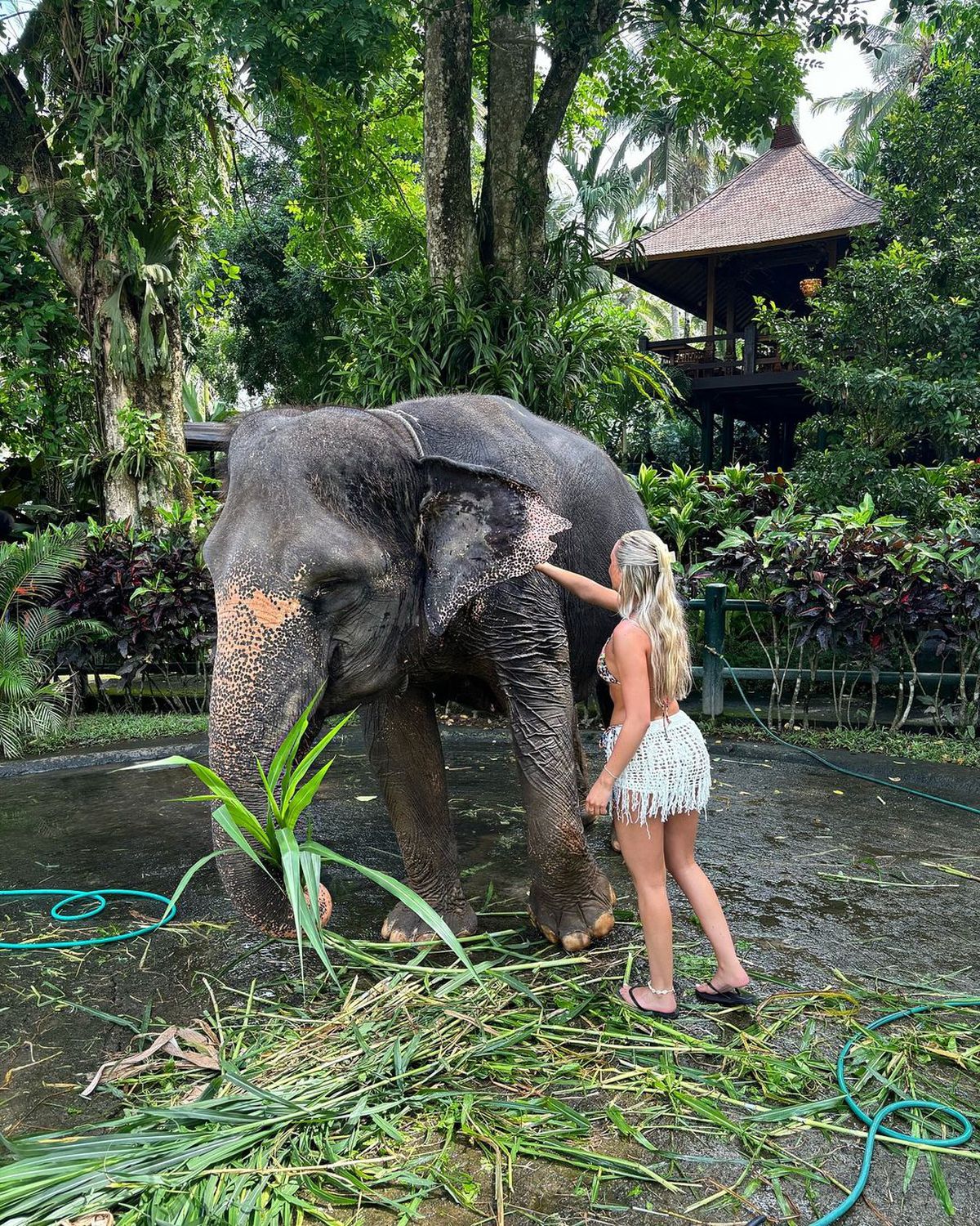 Starul de 100 de milioane a apărut cu noua iubită la evenimentul monden al finalului de an » Blonda a atras toate privirile