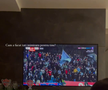 Reacția emoționantă a fiicei lui Florinel Coman, după ce starul FCSB-ului i-a dedicat golul