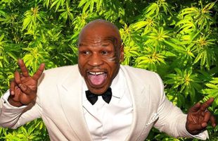 Mike Tyson are o nouă afacere: o cultură de cannabis de 1.618.743 metri pătrați!