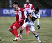 FC Argeș - Dinamo / Sursă foto: Cristi Preda (GSP)