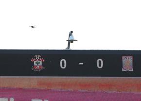 Imagini SF în Anglia » Meci de Premier League, întrerupt din cauza unei drone care zbura deasupra stadionului