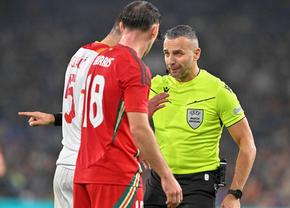 UEFA a ales cine arbitrează Qarabag - FCSB