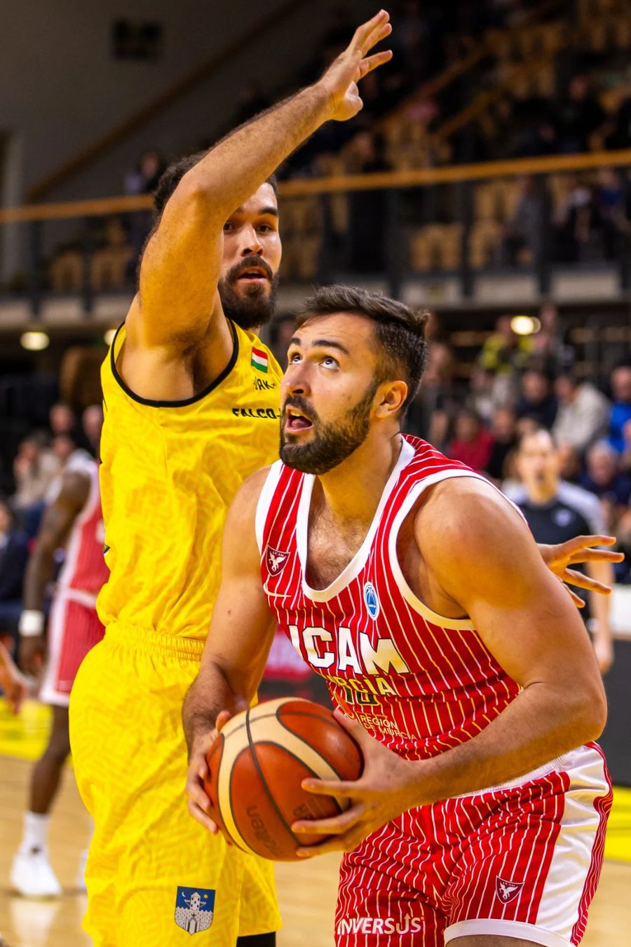 UCAM Murcia, echipa lui Emanuel Cățe, a obținut calificarea în „sferturile” FIBA Europe Cup