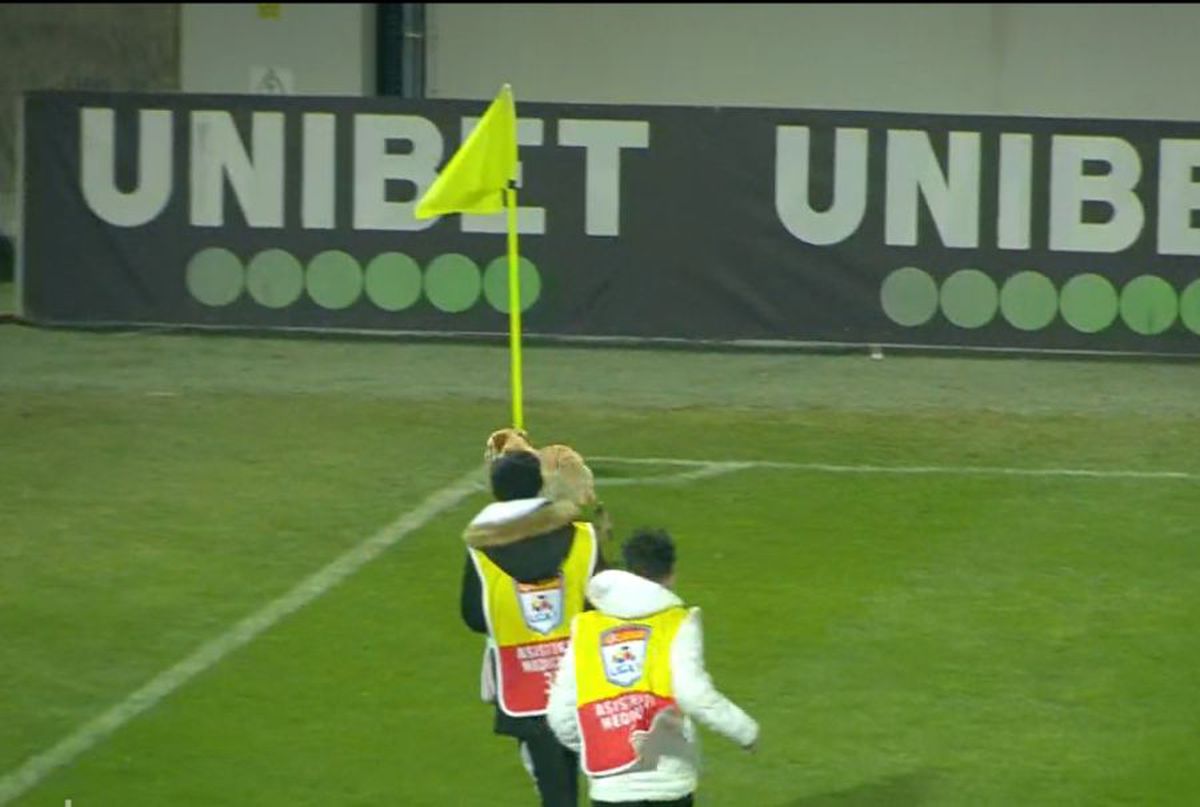 FOTO I-a răzbunat pe „câini”! Un patruped a pătruns pe gazon, în pauza meciului Astra - Dinamo