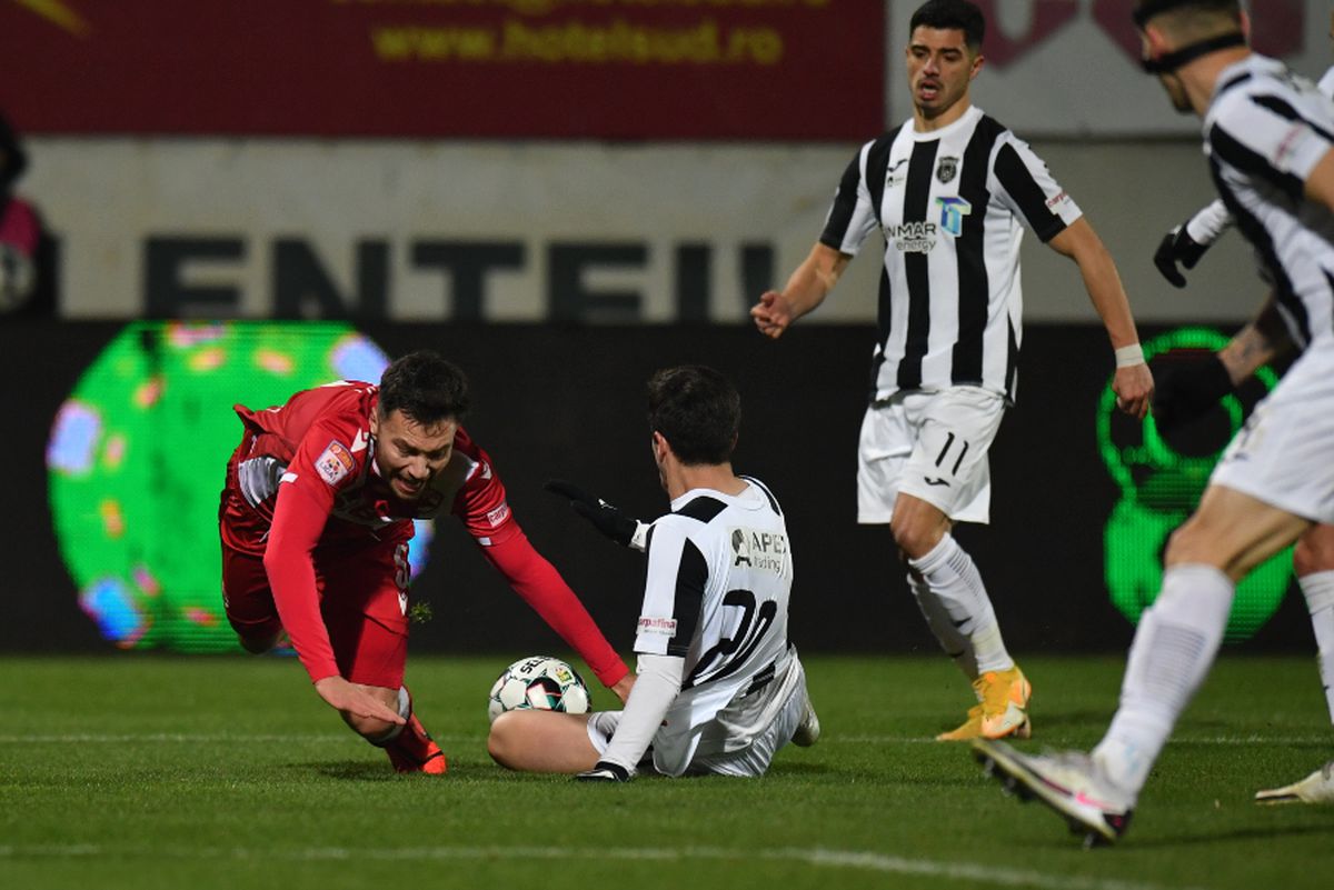 FOTO I-a răzbunat pe „câini”! Un patruped a pătruns pe gazon, în pauza meciului Astra - Dinamo