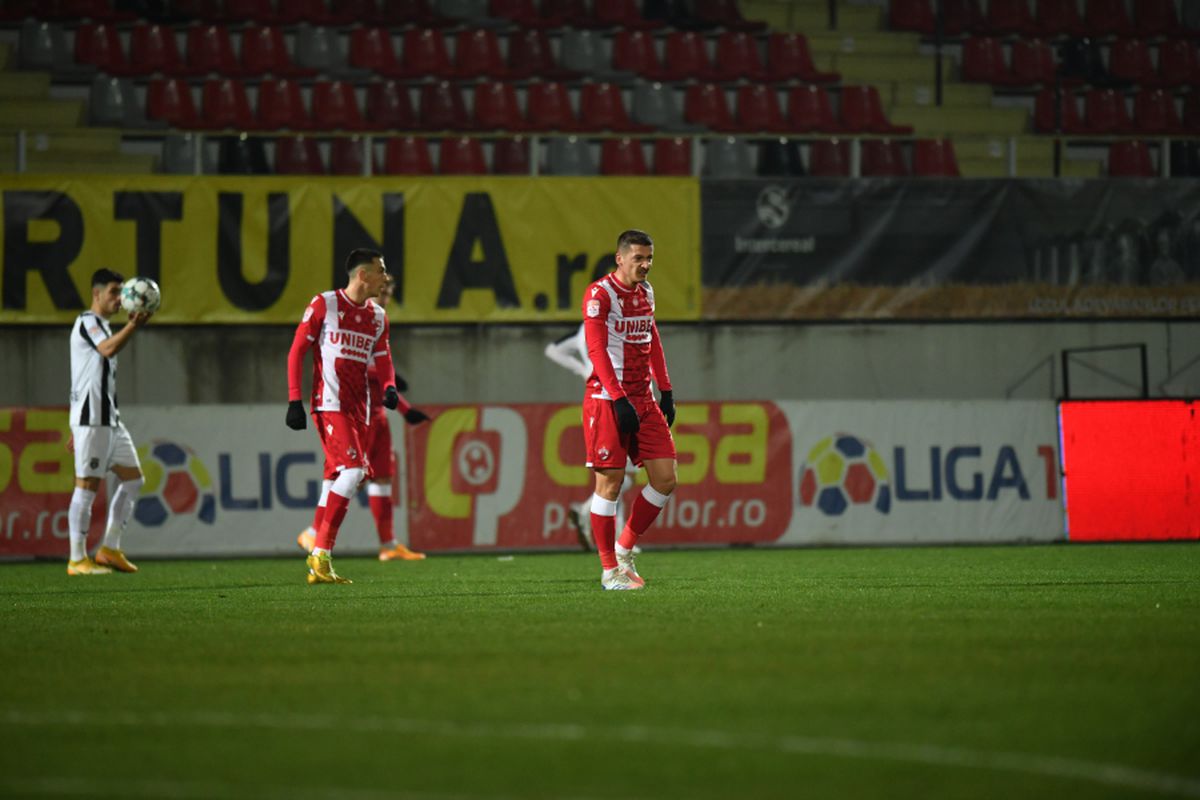FOTO I-a răzbunat pe „câini”! Un patruped a pătruns pe gazon, în pauza meciului Astra - Dinamo