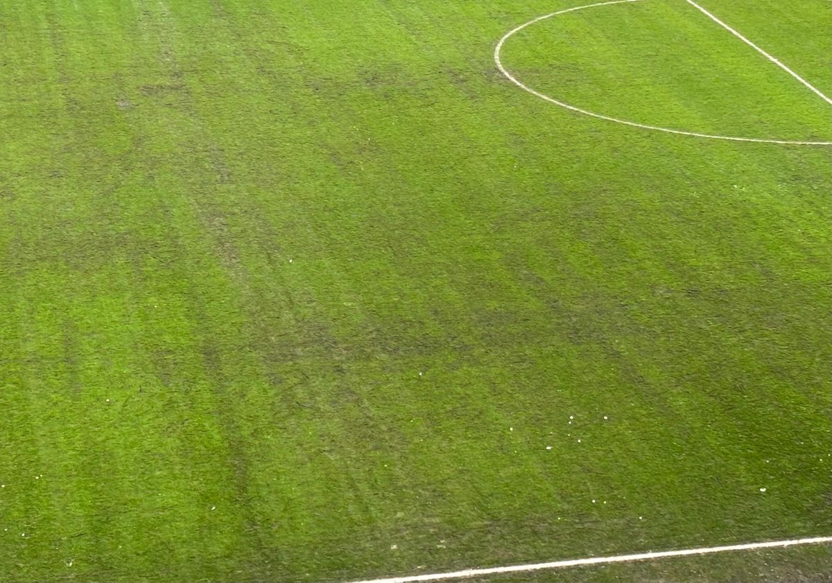 După Rapid - Dinamo, dezastrul » Așa arată gazonul Arenei Naționale înainte de FCSB - Metaloglobus