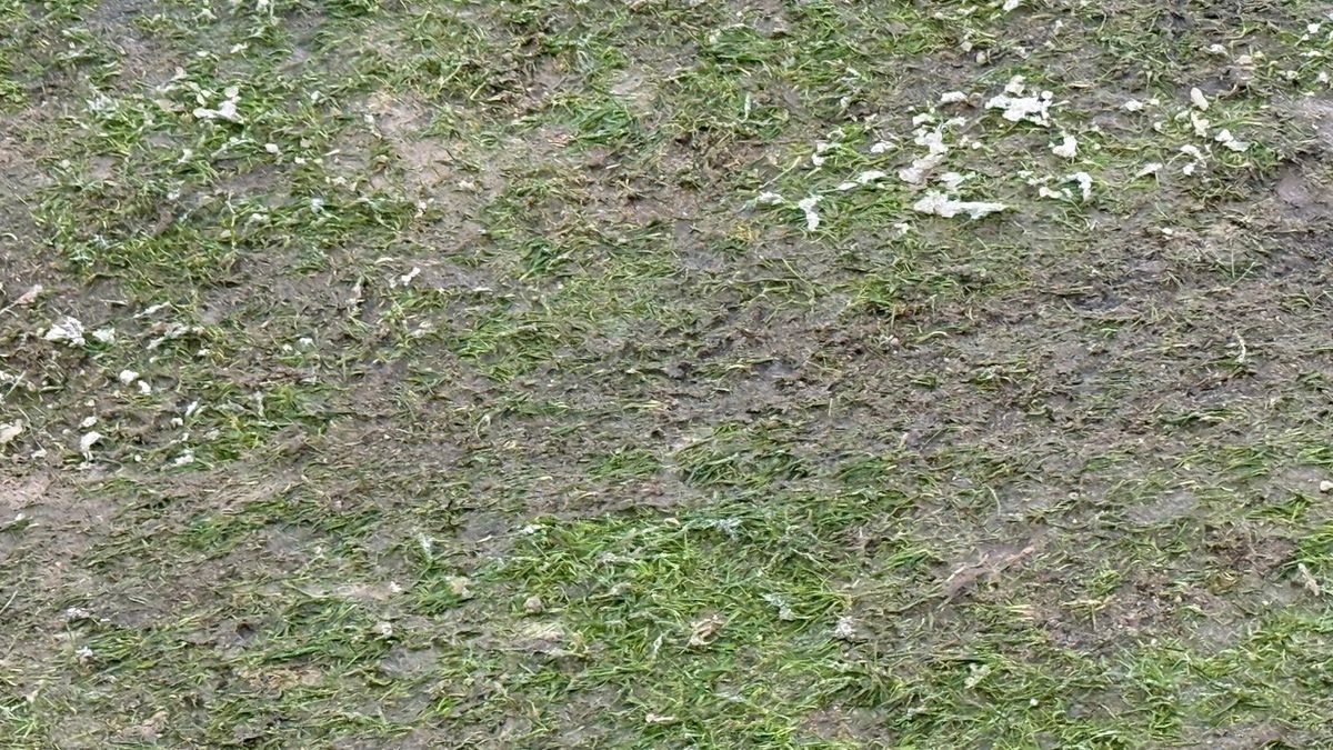 Rapid - Dinamo, imagini înaintea derby-ului din etapa 28