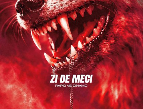 Vizualul ales de Dinamo pentru a anunța meciul cu Rapid // foto: Facebook