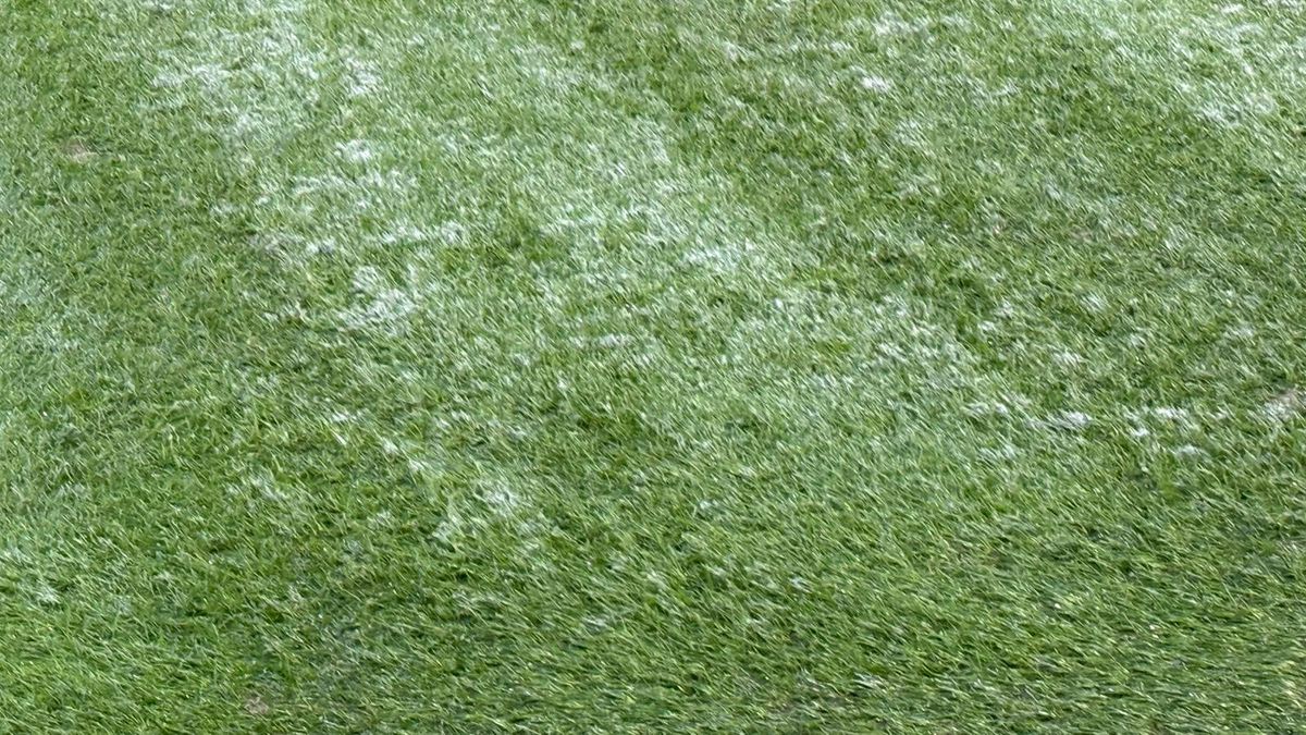 Rapid - Dinamo, imagini înaintea derby-ului din etapa 28