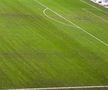 Gazonul pe Arena Națională, după Rapid - Dinamo/ foto: Adrian Duță (GSP)