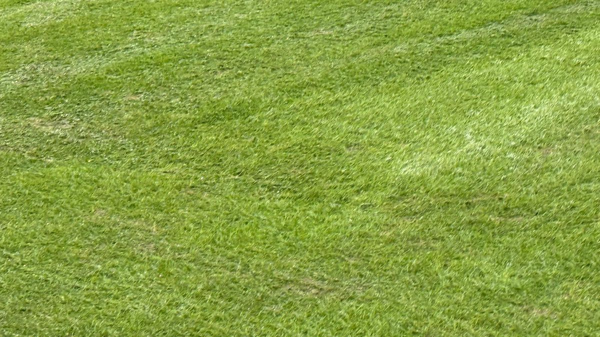 Rapid - Dinamo, imagini înaintea derby-ului din etapa 28