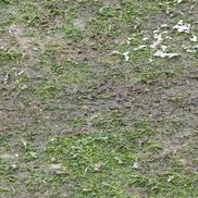 Gazonul pe Arena Națională/ foto: GSP