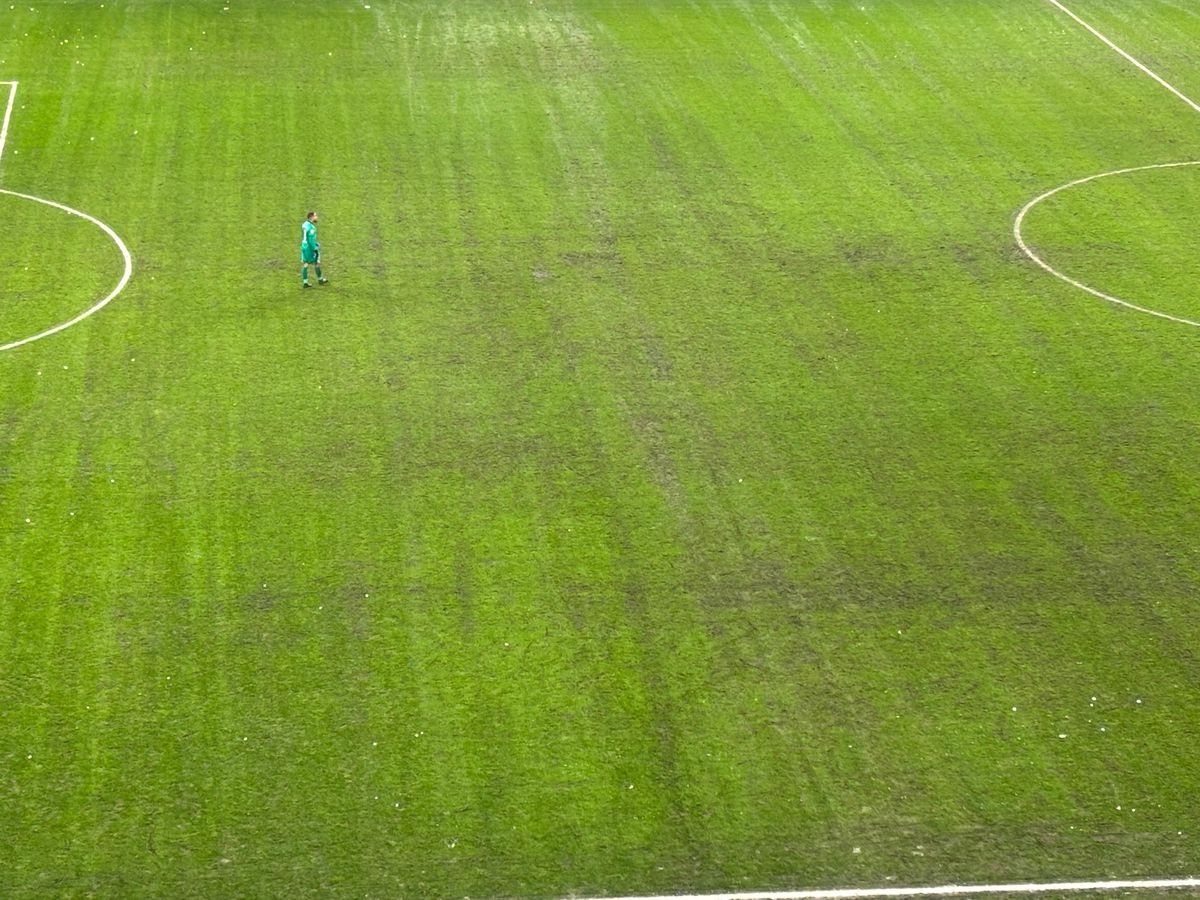 După Rapid - Dinamo, dezastrul » Așa arată gazonul Arenei Naționale înainte de FCSB - Metaloglobus